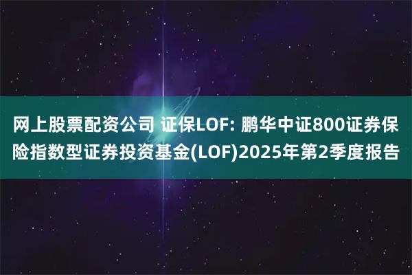 网上股票配资公司 证保LOF: 鹏华中证800证券保险指数型证券投资基金(LOF)2025年第2季度报告