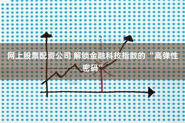 网上股票配资公司 解锁金融科技指数的 “高弹性密码”